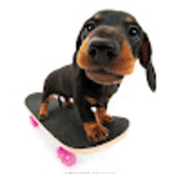 Meet your Posher, Maggie - Picture 1 of 1